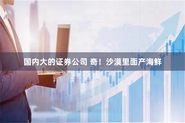 国内大的证券公司 奇！沙漠里面产海鲜